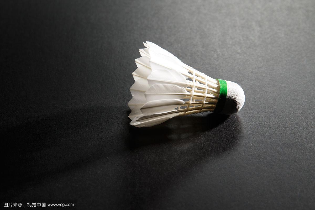 从中甲升入 从中甲升入